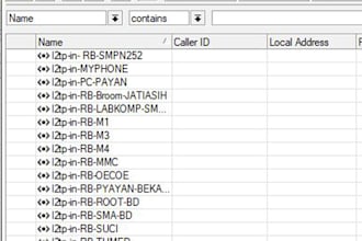 mikrotik router configure VPN client for public access