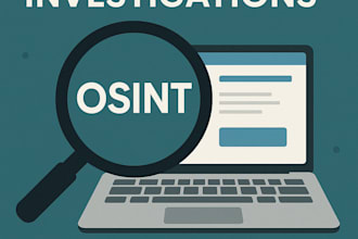 perform detailed osint investigations and online intelligence gathering