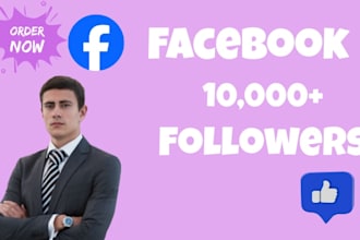 buy 1000 facebook page followers fast