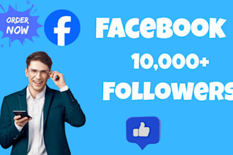 buy 1000 facebook page followers fast