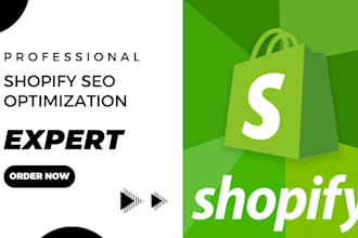 set up complete shopify dropshpping store shopify website and shopify marketing