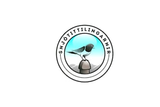 design high quality snow bunt bird logo