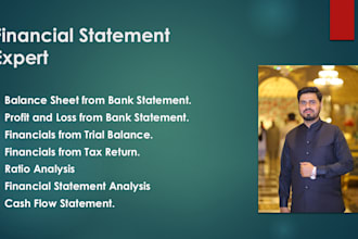 do balance sheet, profit and loss and analysis