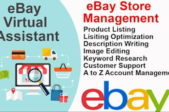 do ebay listing, ebay product listing, ebay SEO optimized, ebay lister
