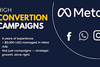 run high ROI facebook and instagram ads campaigns