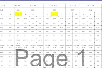do accurate data entry in excel or word professionally and create work book