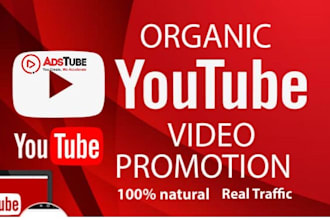 do complete youtube channel monetization and channel promotion