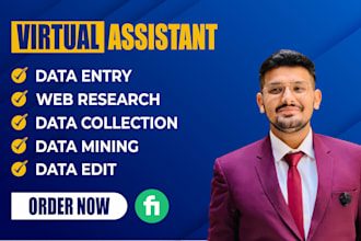 be your virtual assistant for data entry, data mining, typing, data editing
