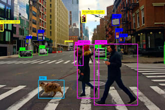 build object detection and image recognition models using yolo or cnns