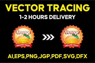 professional vector tracing and convert logo to vector format