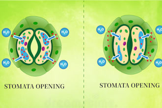 create scientific, medical, and biology illustrations