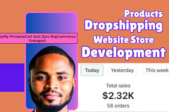 create sellfy pinnaclecart selz zyro bigcommerce ontraport website store design