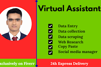 be your virtual assistant for data entry, lead generation, copy paste and others