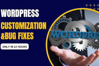do quick professional wordpress customization updates in 12 hours