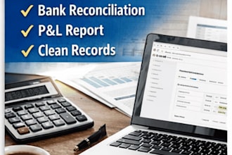do professional bookkeeping, US tax preparation and financial reporting