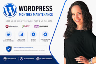offer monthly wordpress website maintenance and consultation