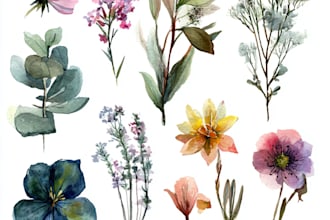 do botanical illustration art for you