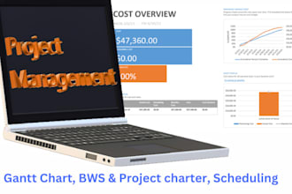 create project charter, gantt chart, schedule activities,  and wbs on ms project