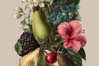 paint watercolour botanical illustrations