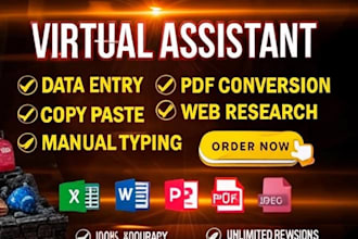 do data entry, web research, PDF 2 excel typing and copy paste work