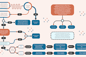 do infographics, powerpoint slides, flowcharts for business