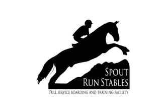 design professional classic horse jumping logo