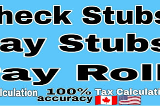 create professional and accurate paystubs for your business or employees