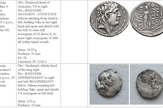 professional coin identification by expert numismatist