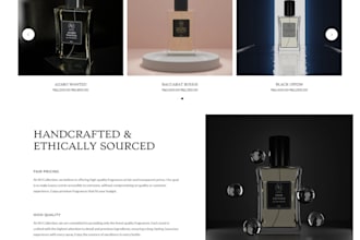 design a professional wordpress website or blog