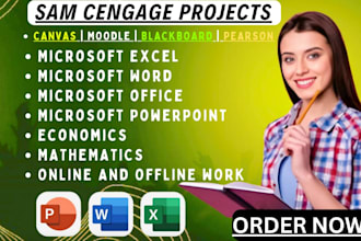 do microsoft office, sam cengage, word, excel, and access projects