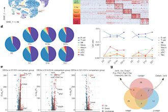perform rnaseq, atacseq, or scrnaseq analysis with complete bioinformatics
