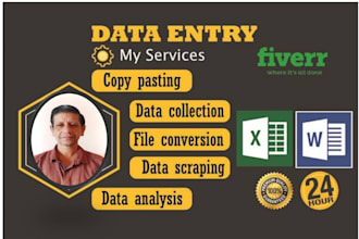 be your data entry operator, virtual assistant