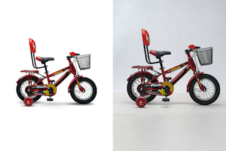 professionally do clipping path and background removal