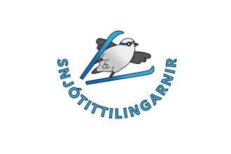 design artwork classic snow bunt bird logo