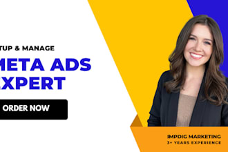 setup and manage facebook ads and insta ads