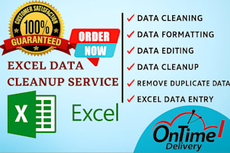 do excel data cleaning, formatting, and removing duplicates