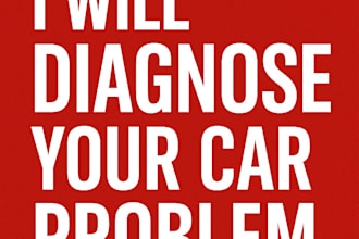 diagnose your car problem and explain repair options