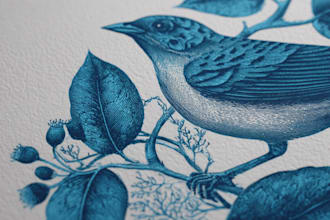 draw botanical and animal designs and patterns for you