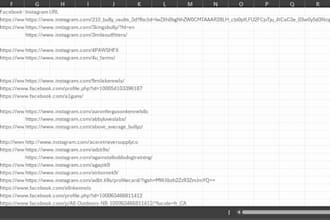 do data mining, web scraper and  automation with python