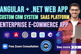 develop dot net web app with angular