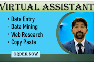 be your virtual assistant for data entry data mining, web research, copy paste
