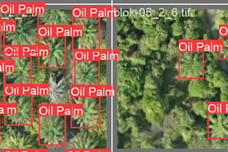 do computer vision, image processing, opencv and deep learning in python