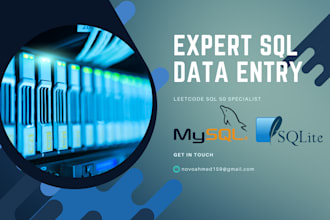 expert sql data entry, database management, and query writing