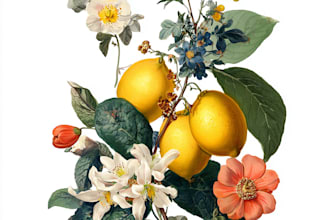 do botanical and anatomical scientific illustrations