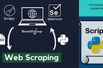 develop python scripts, custom bots and web scraping tools