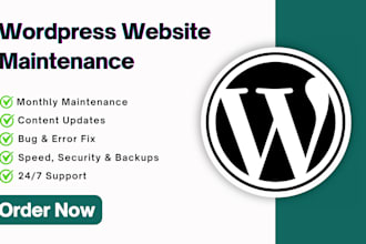 provide wordpress website maintenance and monthly support