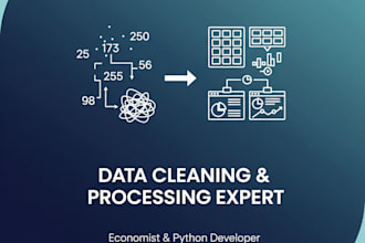 do data processing and cleaning with python