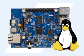 provide embedded linux development