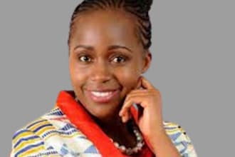 handle contract law, civil procedure, corporate law and insurance law