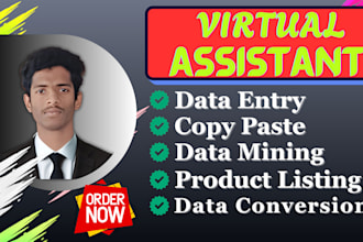 provide accurate data entry, data collection and web research support